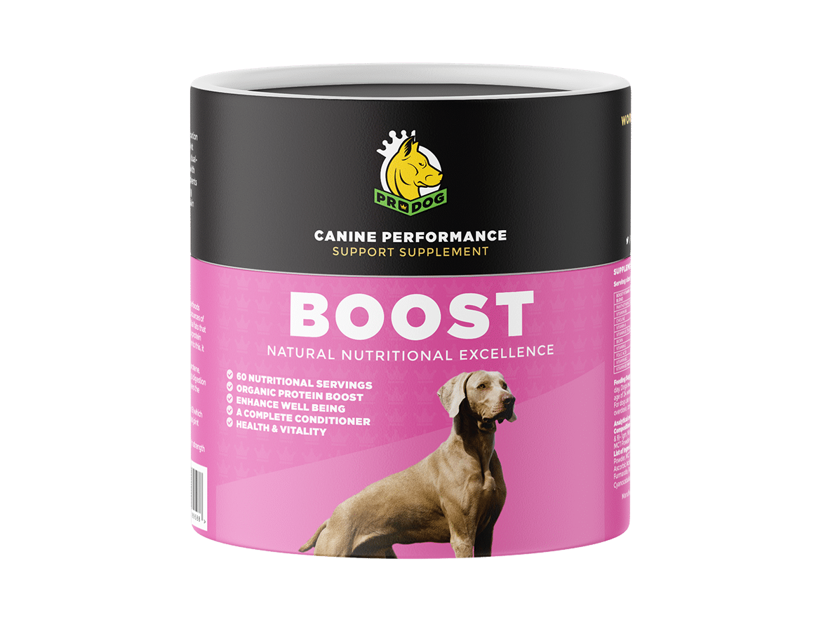 Dog store food supplement