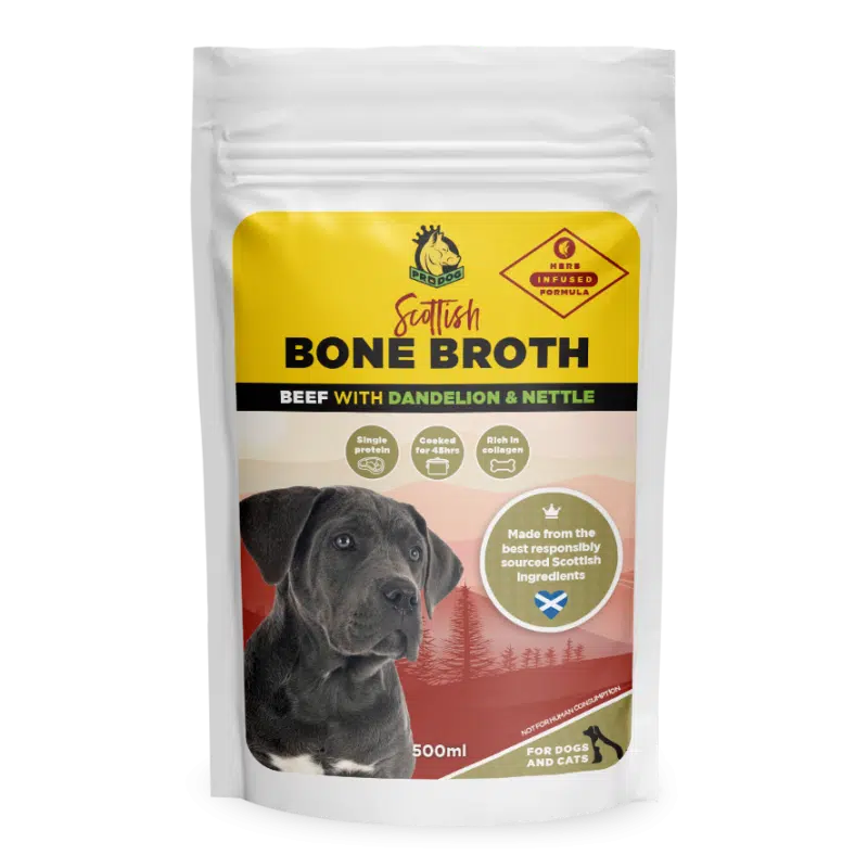 Bone broth for senior dogs best sale