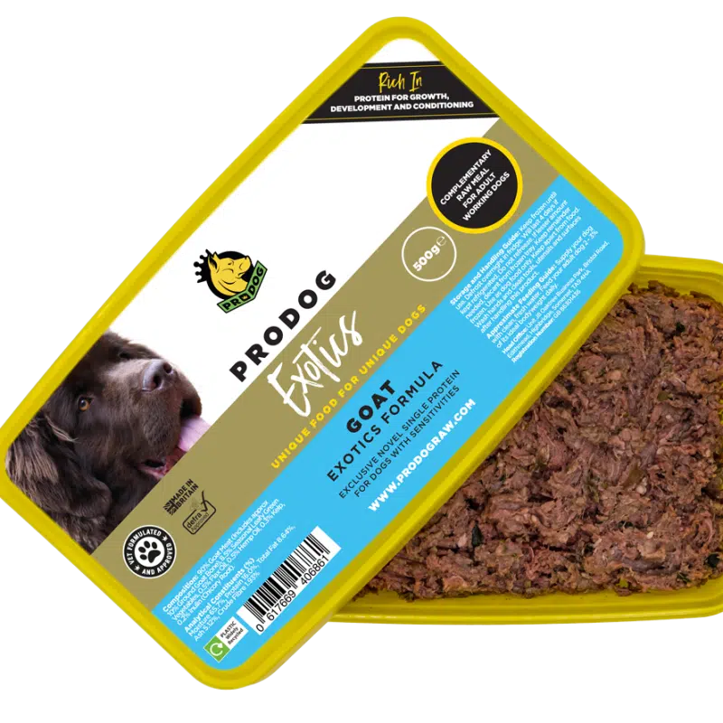 Prairie raw dog food best sale