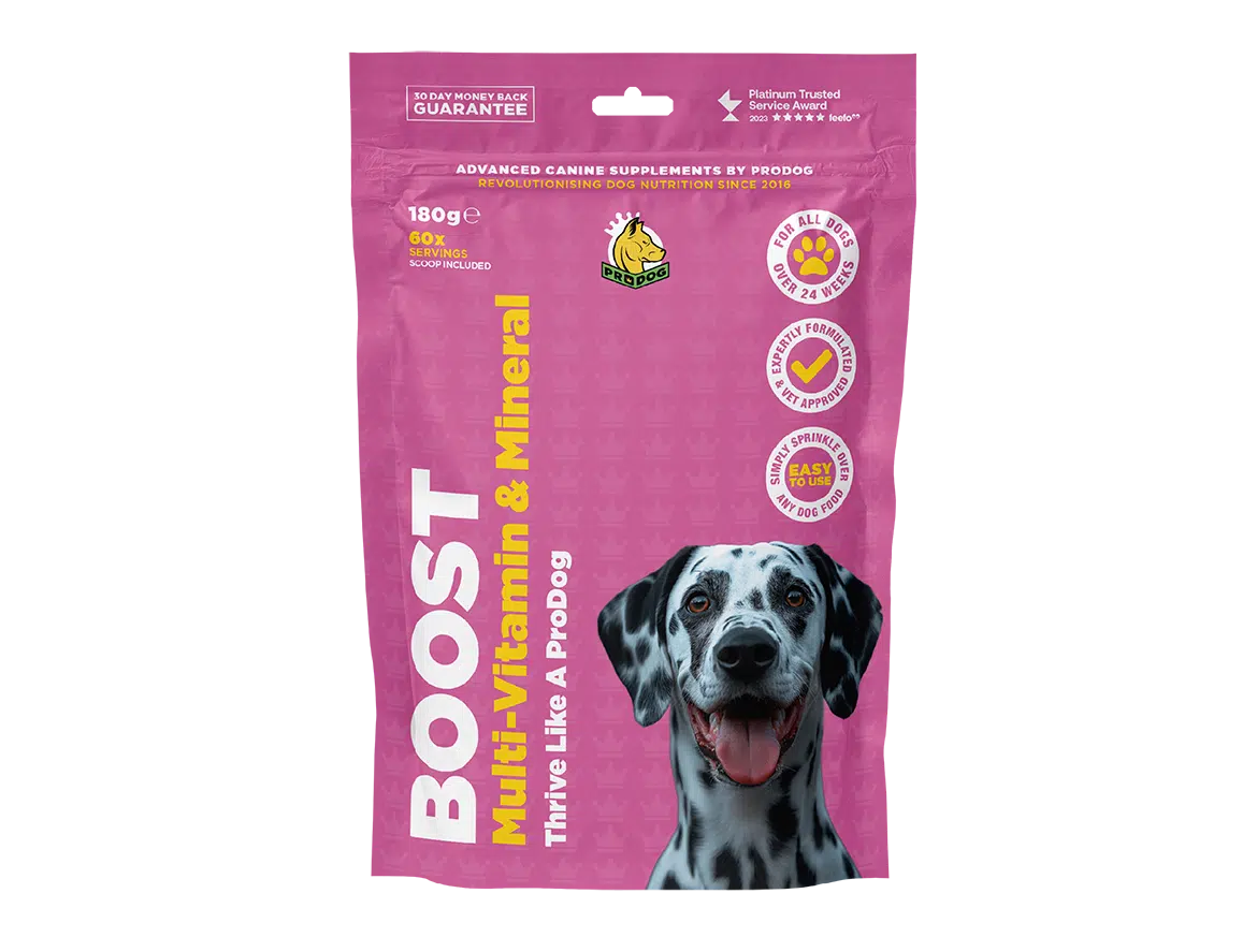 Supplements For Older Dogs Help Your Senior Dog ProDog Raw