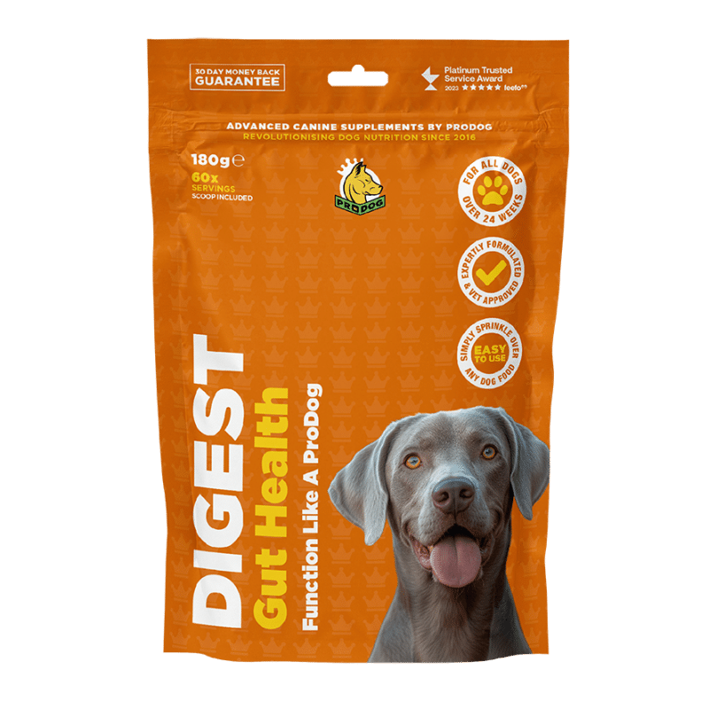 Best dry dog food for acid reflux best sale