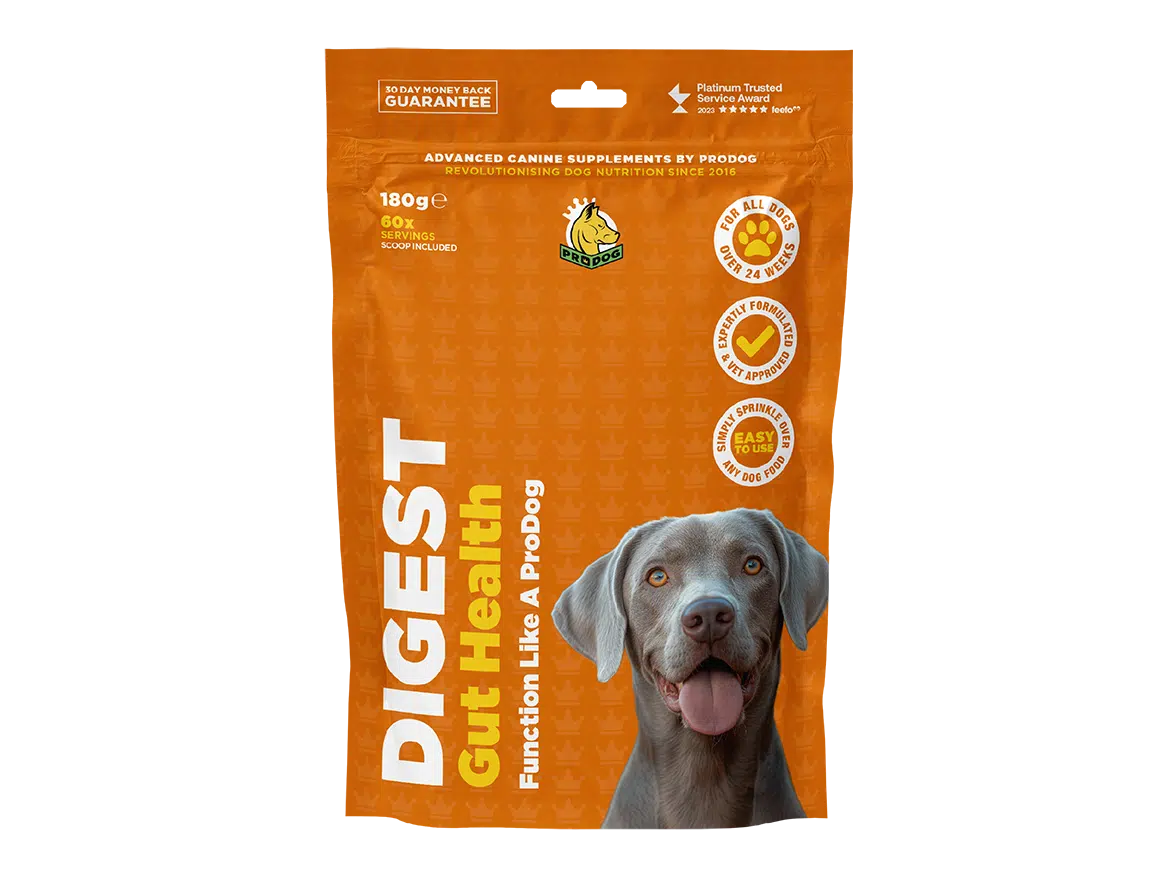 Senior dog nutrition fashion supplements