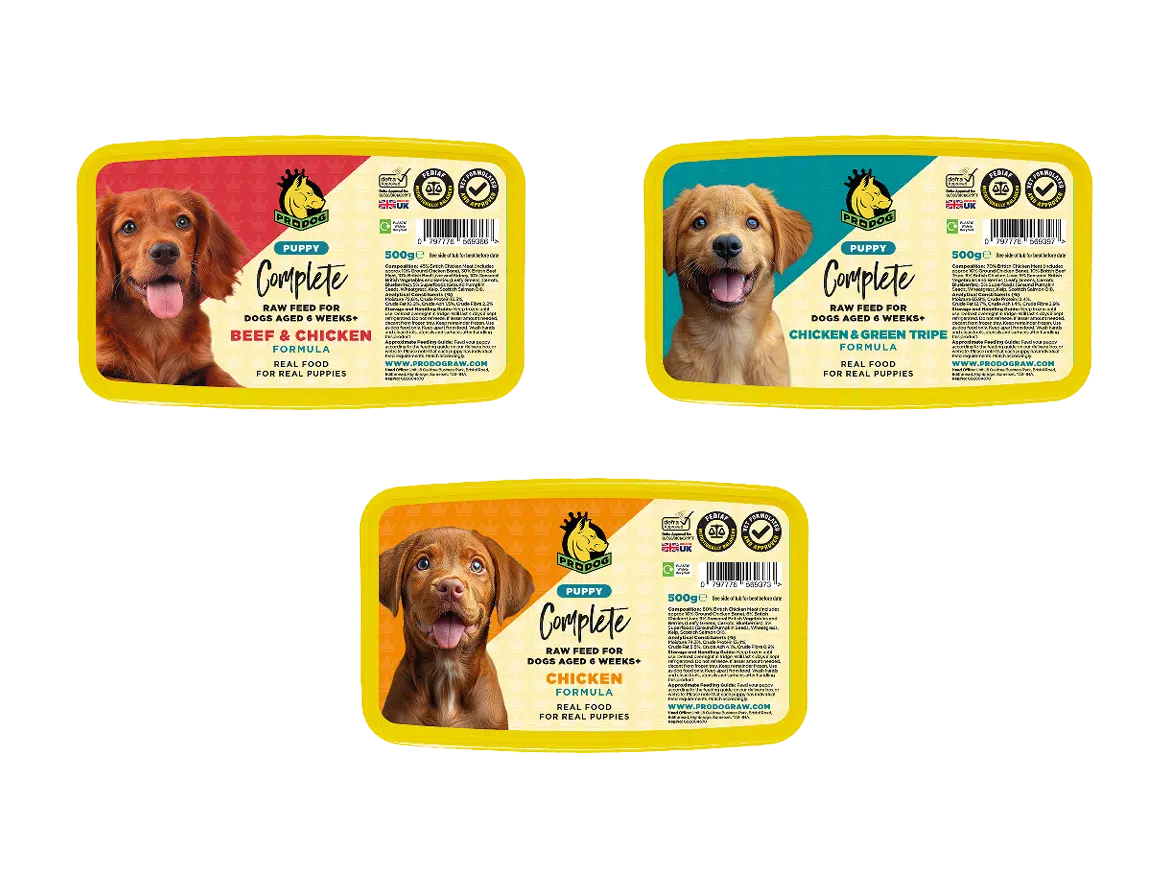 FishFreeRawPuppyFoodBundle