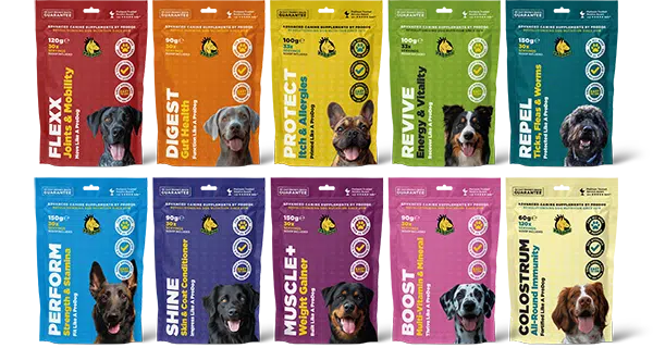 Mastiff Feeding Guide Dog Feeding Guide ProDog Raw