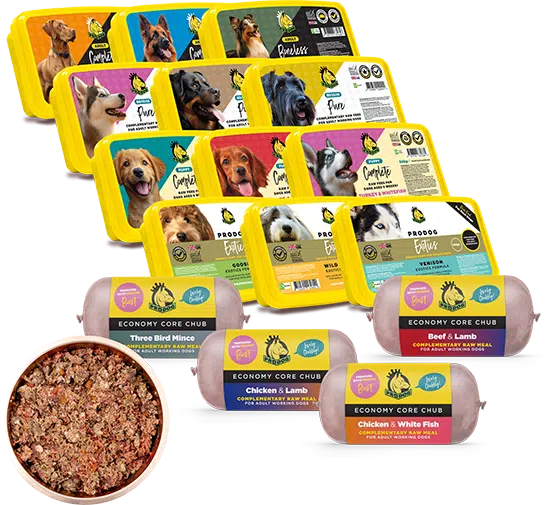 Chihuahua Feeding Guide Dog Feeding Guide ProDog Raw